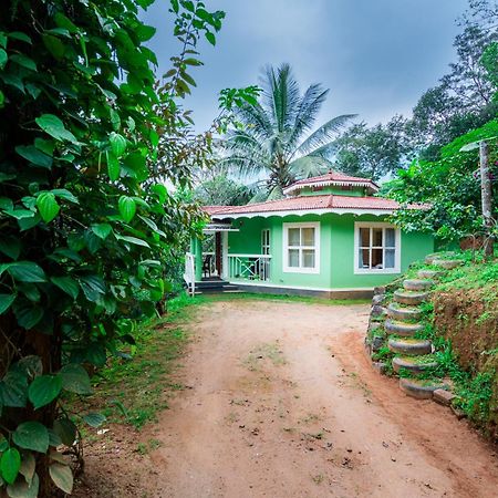 Nature Routes Cottage 蒙纳 外观 照片