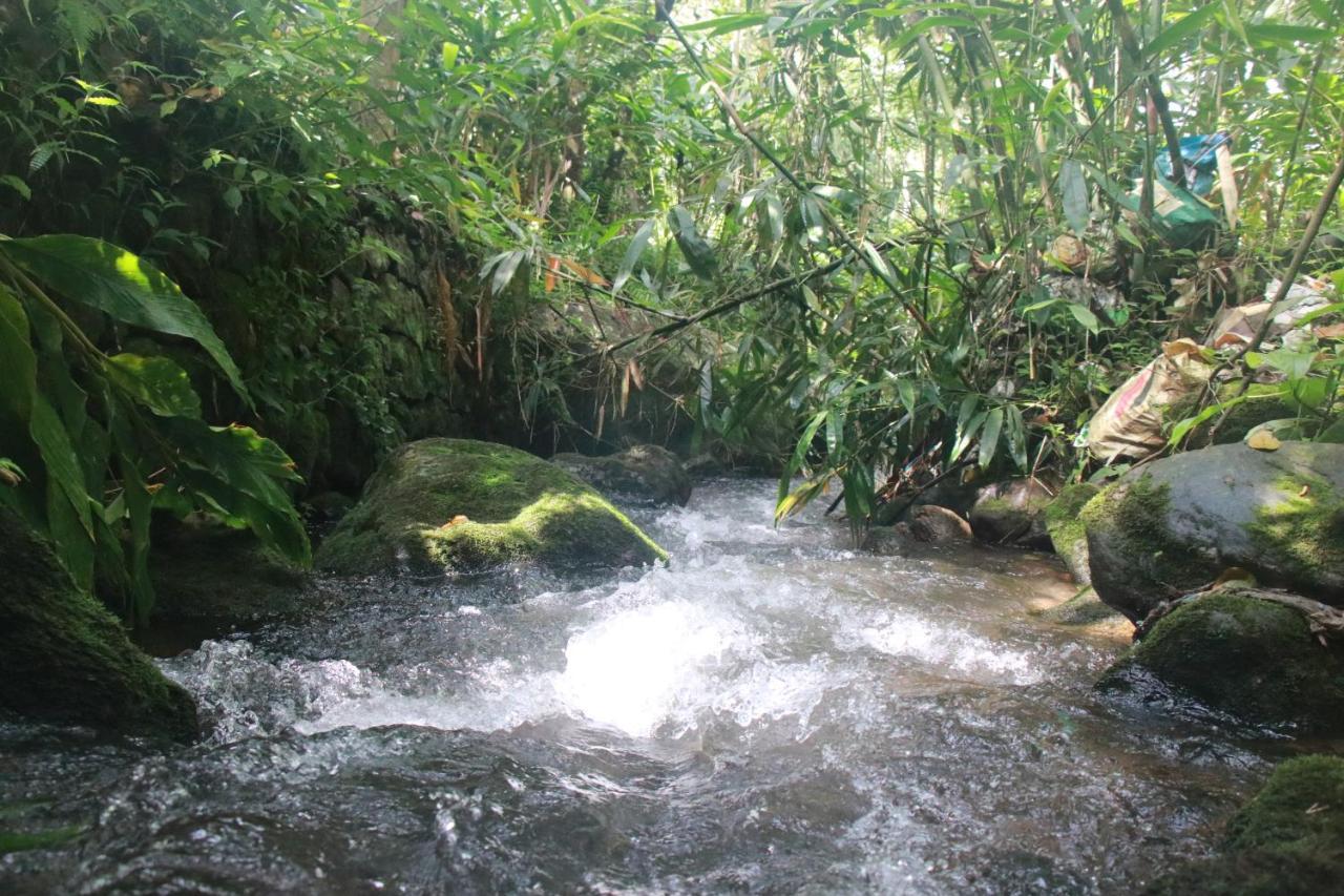 Nature Routes Cottage 蒙纳 外观 照片