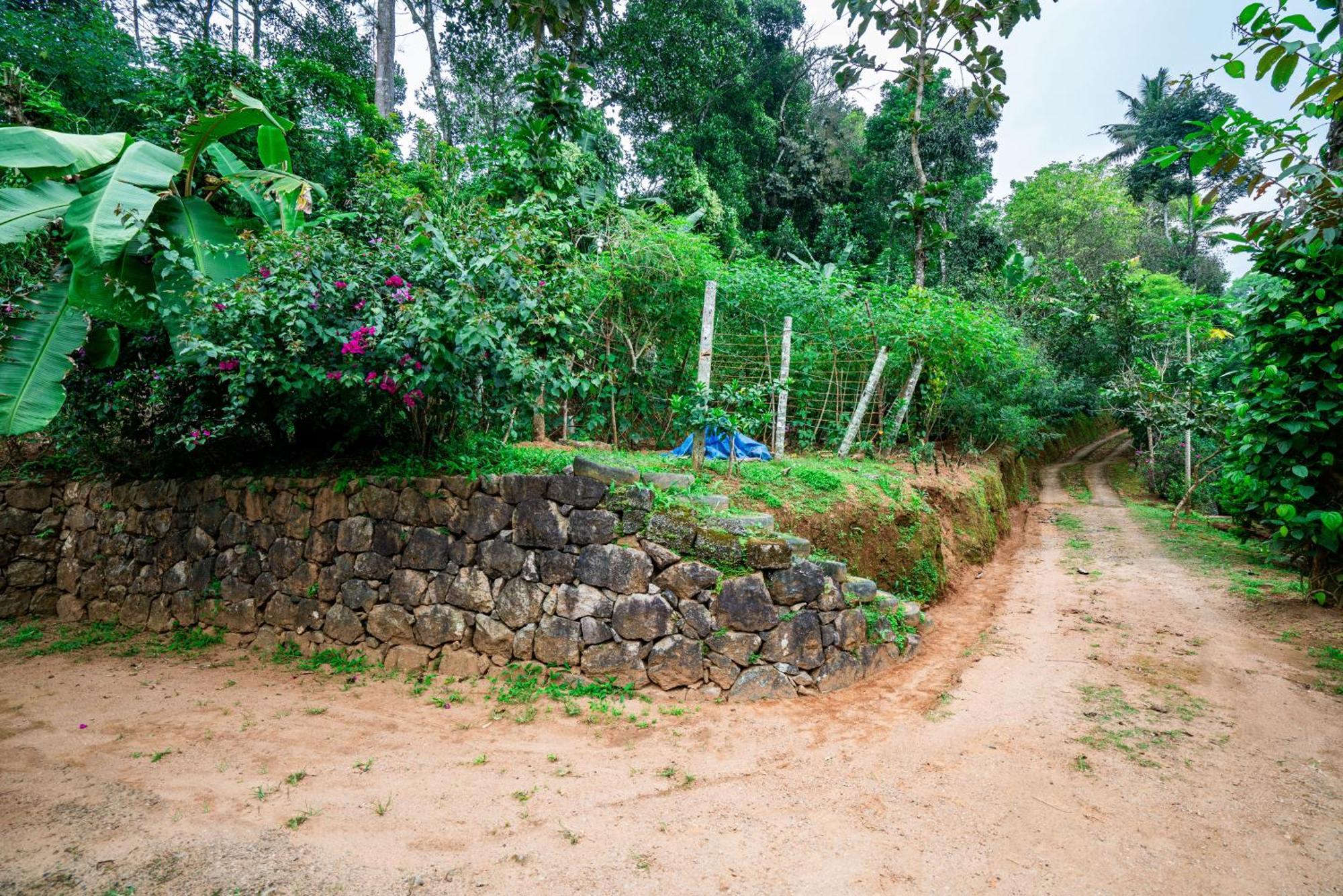 Nature Routes Cottage 蒙纳 外观 照片