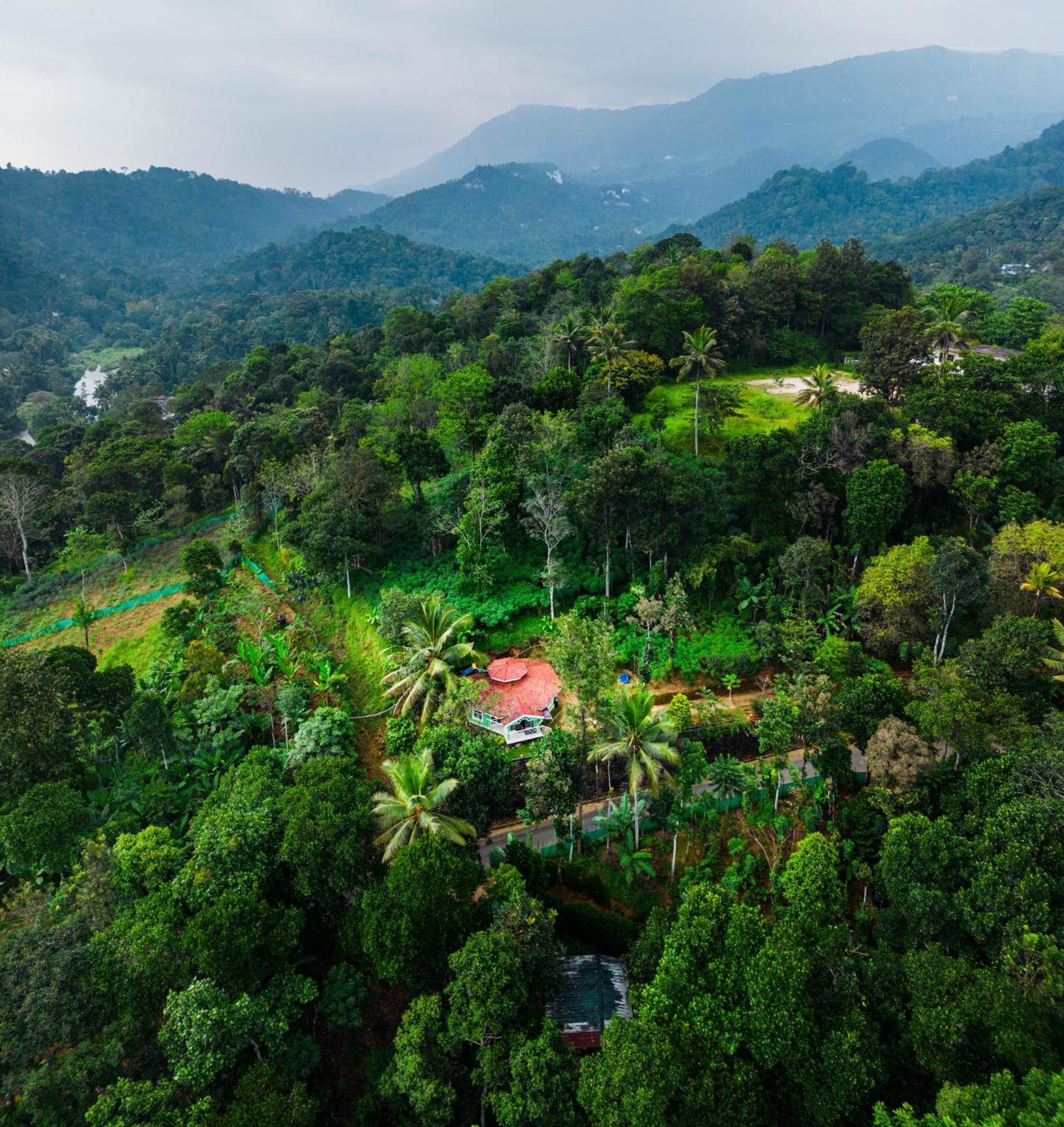 Nature Routes Cottage 蒙纳 外观 照片